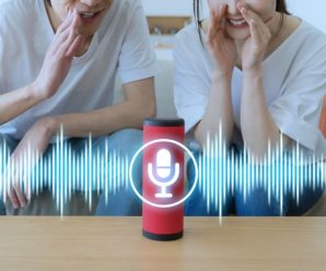 What is the best voice assistant?