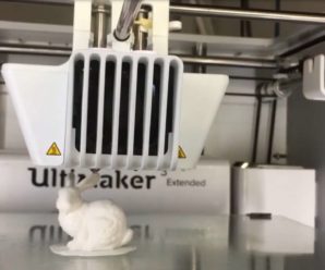 This 3D printed rabbit has DNA to replicate itself