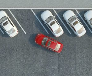 How to park a car with 12 neurons