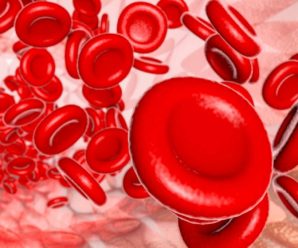 Synthetic red blood cells stronger than the real ones?
